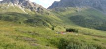 Almfläche mit genehmigtem Projekt für Almhütte Almfläche mit genehmigtem Projekt für Almhütte