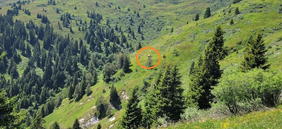 Alm mit Heustadel am Wechsel in der Gemeinde Brenner
